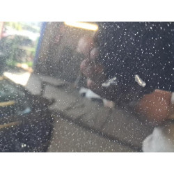 Capot - MERCEDES - CLASSE E 211 PHASE 1