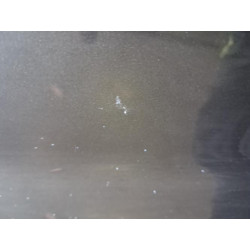 Porte arriere droit - BMW - SERIE 1 F20 PHASE 2