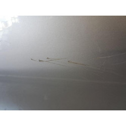 Porte arriere gauche - DACIA - LOGAN MCV 2 PHASE 1 BREAK