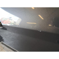 Porte arriere gauche - FORD - B-MAX