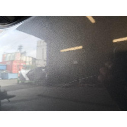 Porte arriere gauche - FORD - B-MAX