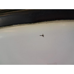 Porte avant droit - RENAULT - MASTER 2 PHASE 1