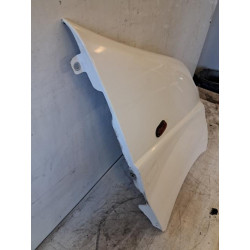 Aile avant droit - OPEL - VIVARO 1 PHASE 2