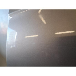 Porte arriere gauche - CITROEN - C3 2 PHASE 1