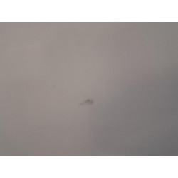 Porte avant gauche - PEUGEOT - EXPERT