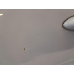 Porte arriere gauche - RENAULT - MEGANE 3 PHASE 1