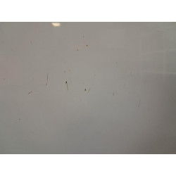 Porte avant droit - RENAULT - CLIO 4 PHASE 1