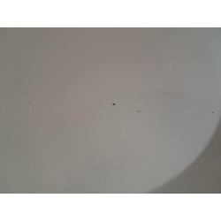 Porte arriere gauche - CITROEN - C3 3 PHASE 2