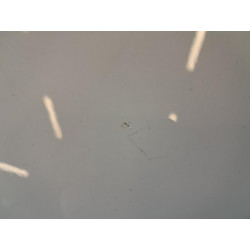 Aile avant droit - RENAULT - MEGANE 3 SOCIETE PHASE 2