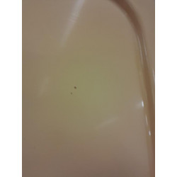 Porte laterale droit - RENAULT - TRAFIC 3 COURT PHASE 1