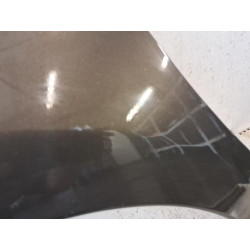 Aile avant gauche - CITROEN - C3 2 PHASE 1