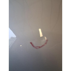 Porte avant droit - BMW - X2 F39