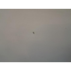 Porte avant gauche - CITROEN - NEMO