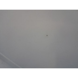 Capot - OPEL - MOVANO B