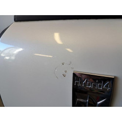 Porte avant gauche - PEUGEOT - 3008 1 PHASE 1