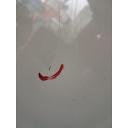 Capot - VOLKSWAGEN - GOLF 7 PHASE 1