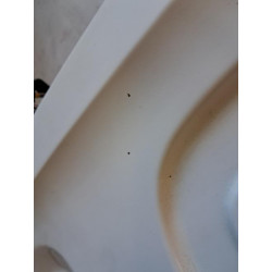 Porte arriere gauche - RENAULT - KANGOO 1 PHASE 2