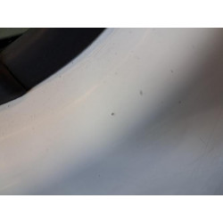 Porte avant gauche - RENAULT - KANGOO 1 PHASE 2