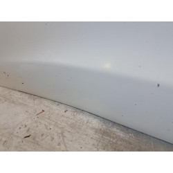 Porte avant gauche - NISSAN - JUKE 1 PHASE 1