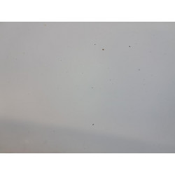 Porte arriere gauche - NISSAN - JUKE 1 PHASE 1