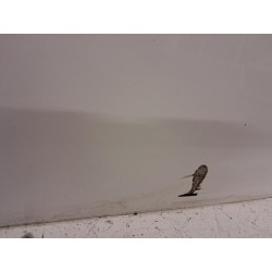 Porte laterale droit - PEUGEOT - EXPERT