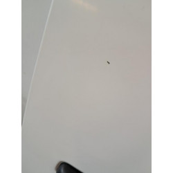 Porte avant droit - RENAULT - MASTER 3 PHASE 2