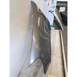Aile avant gauche - RENAULT - CLIO 3 PHASE 1