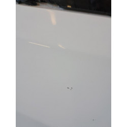 Porte avant gauche - FIAT - DUCATO 3 PHASE 1