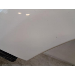 Aile avant gauche - CITROEN - DS3 PHASE 1