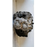 Boite de vitesses - RENAULT - CLIO 4 PHASE 1