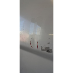 Porte avant gauche - RENAULT - TRAFIC 2 PHASE 2