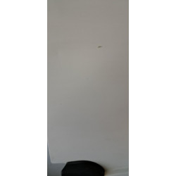 Porte laterale droit - RENAULT - TRAFIC 2 PHASE 2