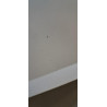 Capot - RENAULT - TRAFIC 2 PHASE 2