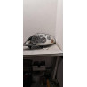 Optique avant principal droit (feux)(phare) - RENAULT - MASTER 3 PHASE 1